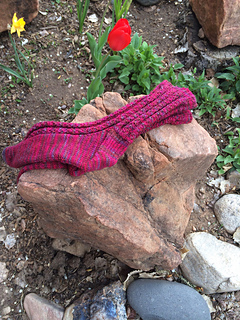 Image_small2
