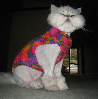 Edit_jellysjumper_006_small2