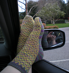 Dscn2085_small