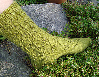 Tendrils_small2