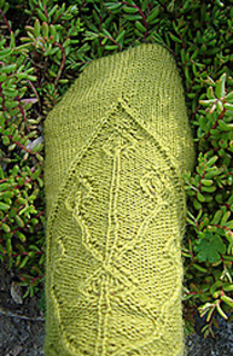 Tendrilstoe_small2