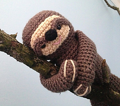 Sloth_2_small