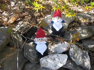 Gnome1_small2