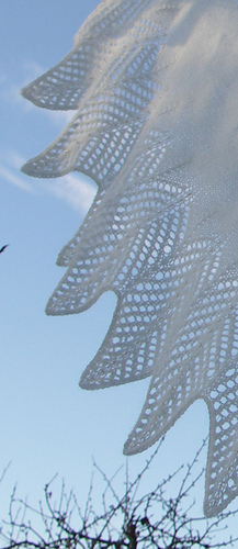 Lace-edging_medium