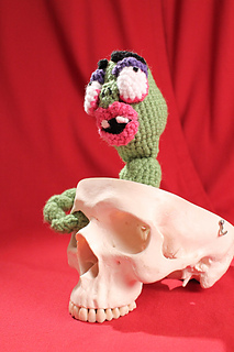 Maggot_with_tail_in_skull_small2