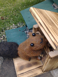 Bild3166_small2