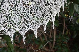 Morticia_in_the_weeds_dingles_small2