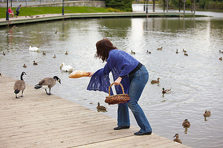 _mg_5835_medium2_small2