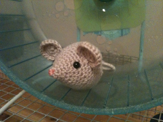 Photo-4_small2