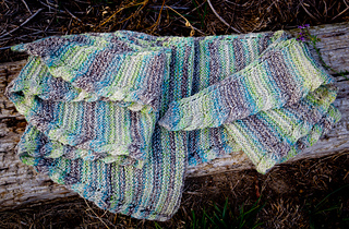 Img_0013_small2