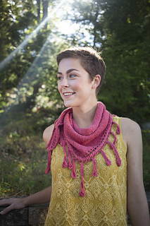 340_canna-6294_small2