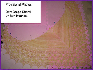 Provisional_1_medium_small2