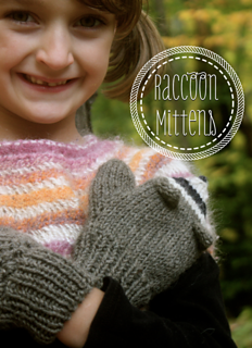 Raccoon_1_small2