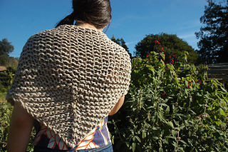 Tildenshawl2_small2