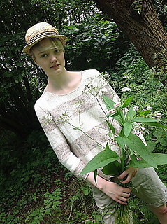Seven_stripe_cover_medium_small2