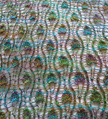Apple_of_my_eye_wrap_finished_011r_small