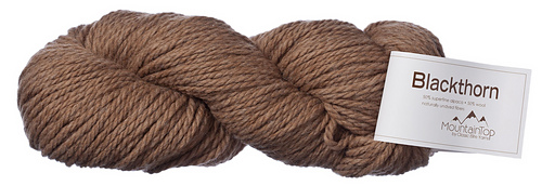 Blackthorn_medium