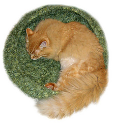 Tobi_green_moss_small