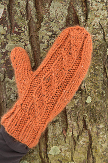 Gloves_lowres-9_small2