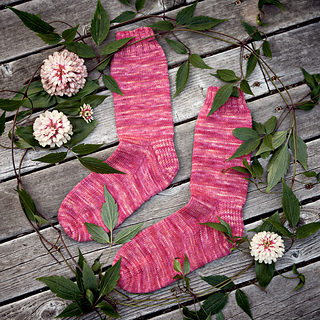 Fuschia-socks-2303-1200_small2
