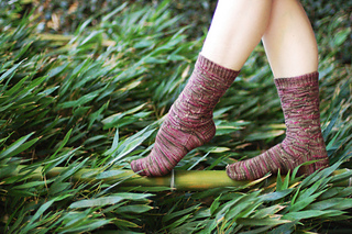 Rambutan_bamboo_walk_small2