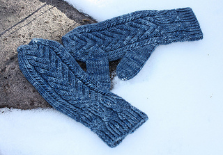 Icetimemittens_small2