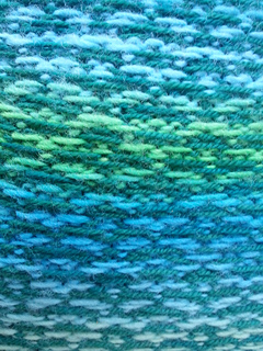 Argos_back_close_small2