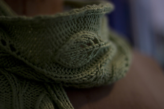 2img_0826_small2