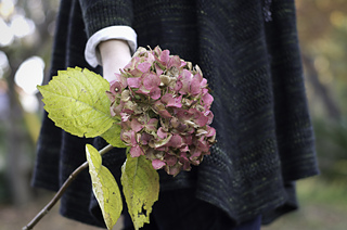 _igp5159_small2