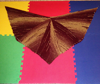 Image_small2