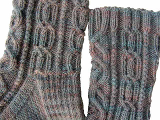 Algernon-2008-08-19a-blank_small2