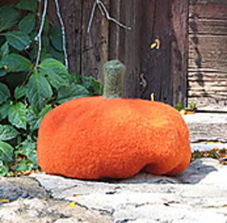 Connecticut-pumpkin-for-rav_small2