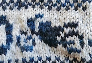 Cimg0131_medium_small2