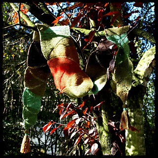 Pa111500__1000x1000__small2