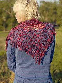 0479-natural-wonders-write-shawl_small2