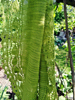 P4290024_small2