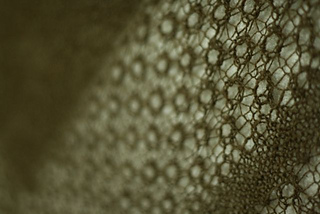 11_small2