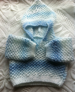 Blue_hoody_2_l_small2