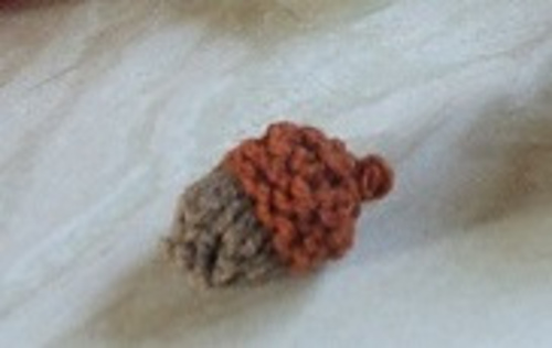 Acorn_medium