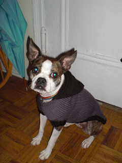 Ocho_018_small2
