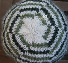 Spearmint_crown_resized_small