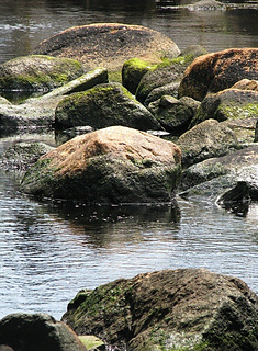 Herring_cove_river--re-sized_small2