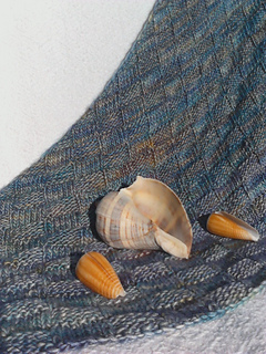 Img_00208_small2