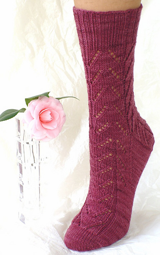S25-front-50_medium