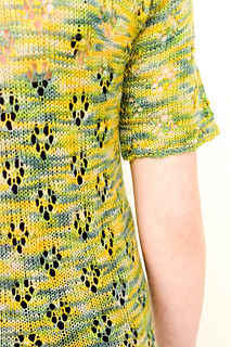 Genista_detail_small2