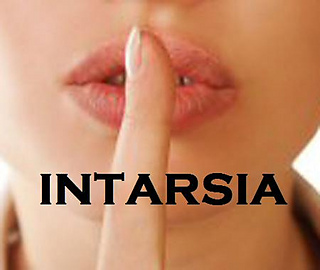 Shhh-intarsia_small2