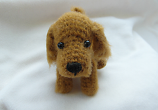 Cocker_spaniel_small2
