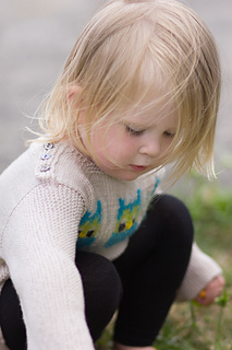 20150128_5494_small2