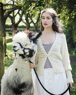 Angel_knitted_cardigan_purl_alpaca_designs_small2