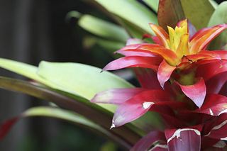 Img_4664_small2